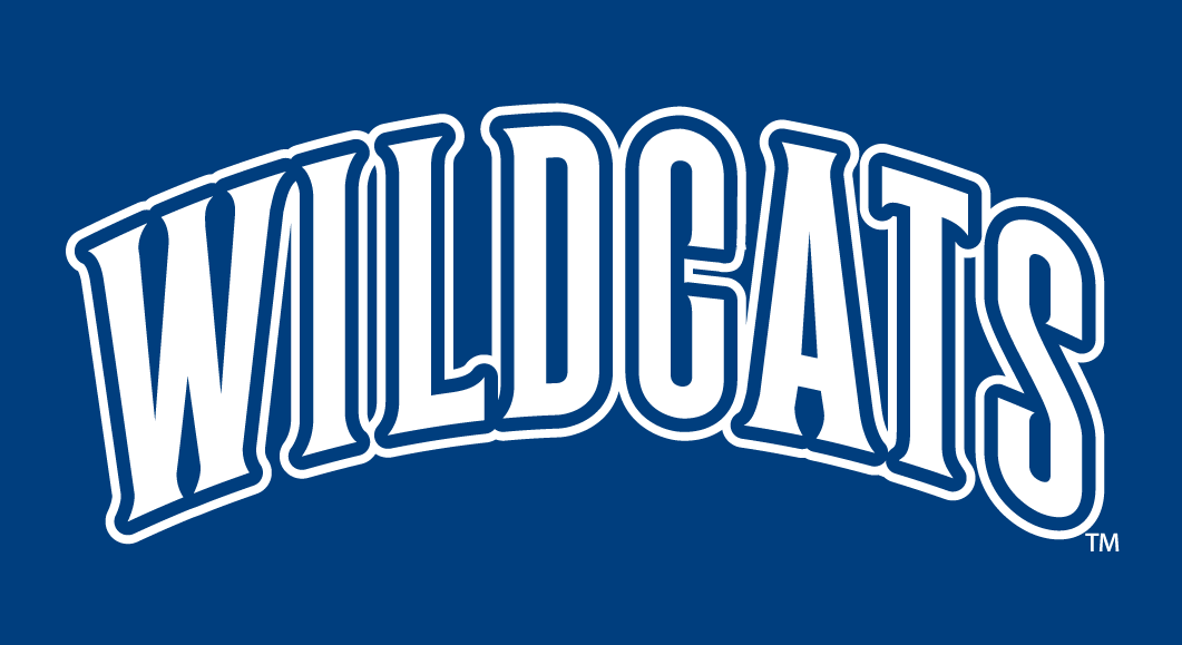 Villanova Wildcats 1996-Pres Wordmark Logo v2 diy fabric transfer